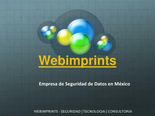 Empresa de Seguridad de Datos en Mexico