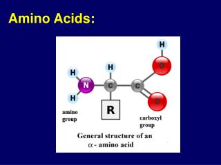 PPT - The Metabolic Pathway of Shikimic Acid Aromatic Amino Acids ...