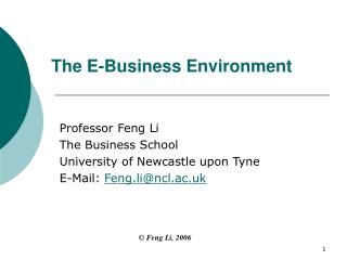 The E-Business Environment