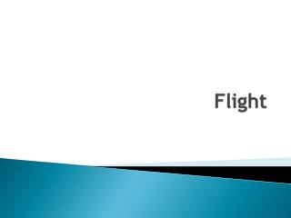 Flight