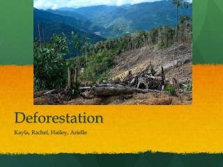 PPT - Deforestation PowerPoint Presentation, free download - ID:2229920