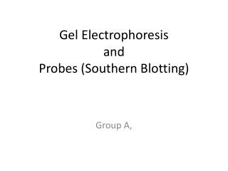 Gel Electrophoresis and Probes (Southern Blotting)