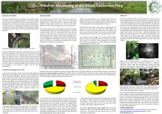 Fisheries Monitoring of the Ribble Catchment 2013 By Gareth Jones
