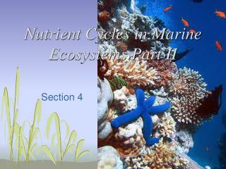 Nutrient Cycles in Marine Ecosystems Part II