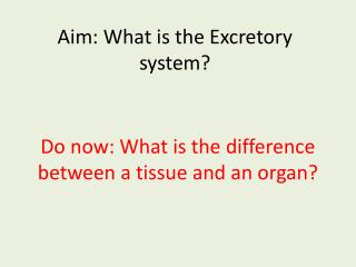 Aim: What is the Excretory system?