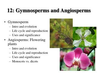 Gymnosperm Intro and evolution Life cycle and reproduction Uses and significance Angiosperms: Flowering plants Intro and