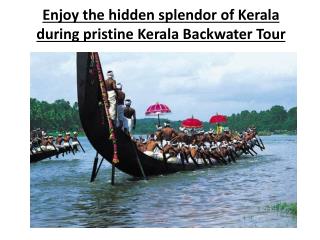 Enjoy the hidden splendor of Kerala during pristine Kerala B