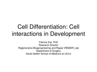 Cell Differentiation: Cell interactions in Development