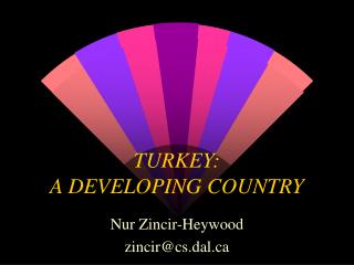 TURKEY: A DEVELOPING COUNTRY