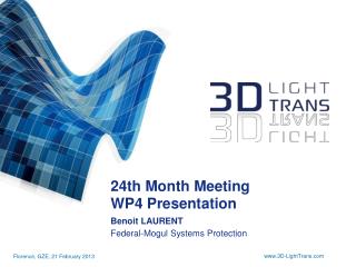 24th Month Meeting WP4 Presentation