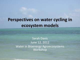 Perspectives on water cycling in ecosystem models