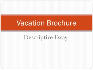 Vacation Brochure