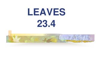 LEAVES 23.4