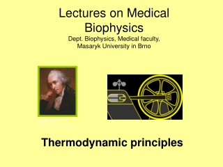 Thermodynamic principles
