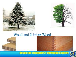 Wood and Joining Wood