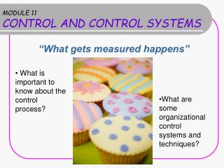 MODULE 11 CONTROL AND CONTROL SYSTEMS