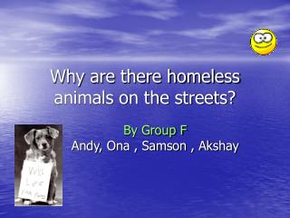 Why are there homeless animals on the streets?