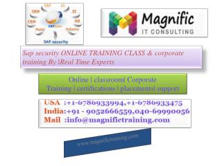 sap security online training in usa