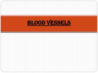 BLOOD VESSELS