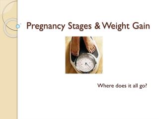 Pregnancy Stages & Weight Gain