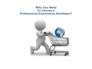 Professional Ecommerce Development