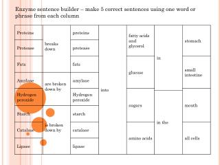 Enzyme sentence builder – make 5 correct sentences using one word or phrase from each column