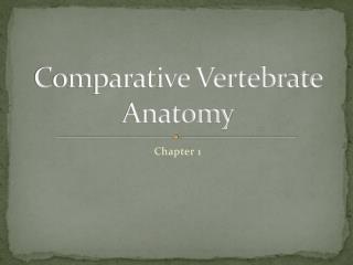 PPT - Comparative Vertebrate Anatomy PowerPoint Presentation, Free ...