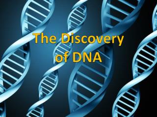 PPT - The Discovery of DNA PowerPoint Presentation, free download - ID ...