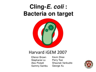 Cling- E. coli : Bacteria on target