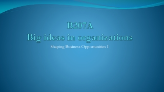 B207A Big ideas in organizations