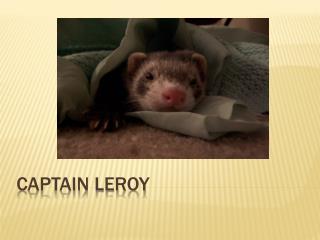 Captain Leroy