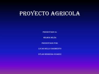 PROYECTO AGRICOLA