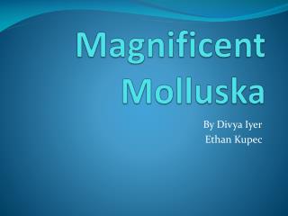 Magnificent Molluska