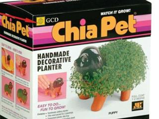 Ch-Ch-Ch- Chia Seeds for Inquiry