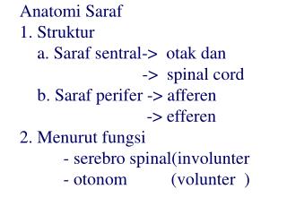 Anatomi saraf