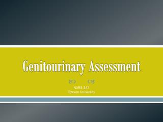 Genitourinary Assessment