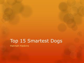 Top 15 Smartest Dogs