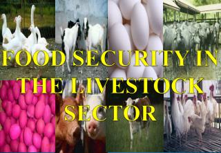 FOOD SECURITY IN THE LIVESTOCK SECTOR