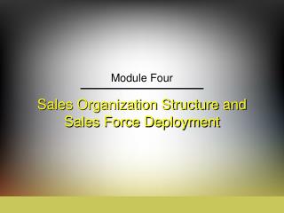 Sales Organization Structure and Sales Force Deployment
