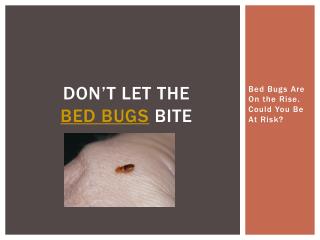 Don’t Let the Bed Bugs Bite - Bed Bugs Are On the Rise. Coul