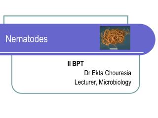 PPT - Nematodes PowerPoint Presentation, Free Download - ID:2300004