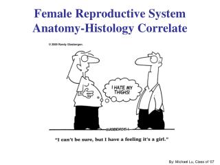 Female Reproductive System Anatomy-Histology Correlate