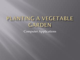Planting a Vegetable Garden