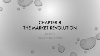 Chapter 8 The Market revolution