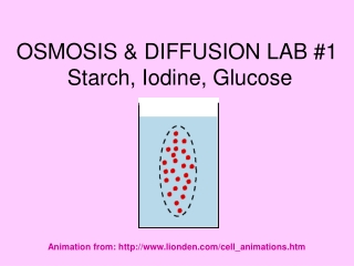 OSMOSIS & DIFFUSION LAB #1 Starch, Iodine, Glucose
