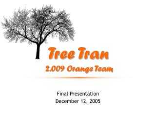 Tree Tran 2.009 Orange Team