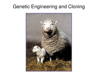 Genetic Engineering and Cloning