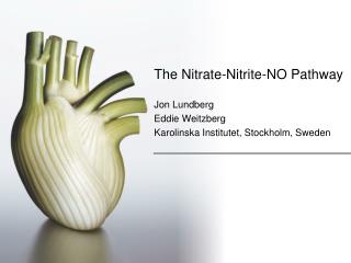The Nitrate-Nitrite-NO Pathway Jon Lundberg Eddie Weitzberg