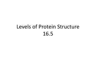Levels of Protein Structure 16.5
