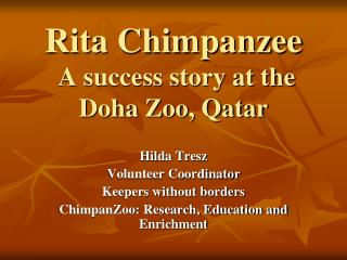 Rita Chimpanzee A success story at the Doha Zoo, Qatar
